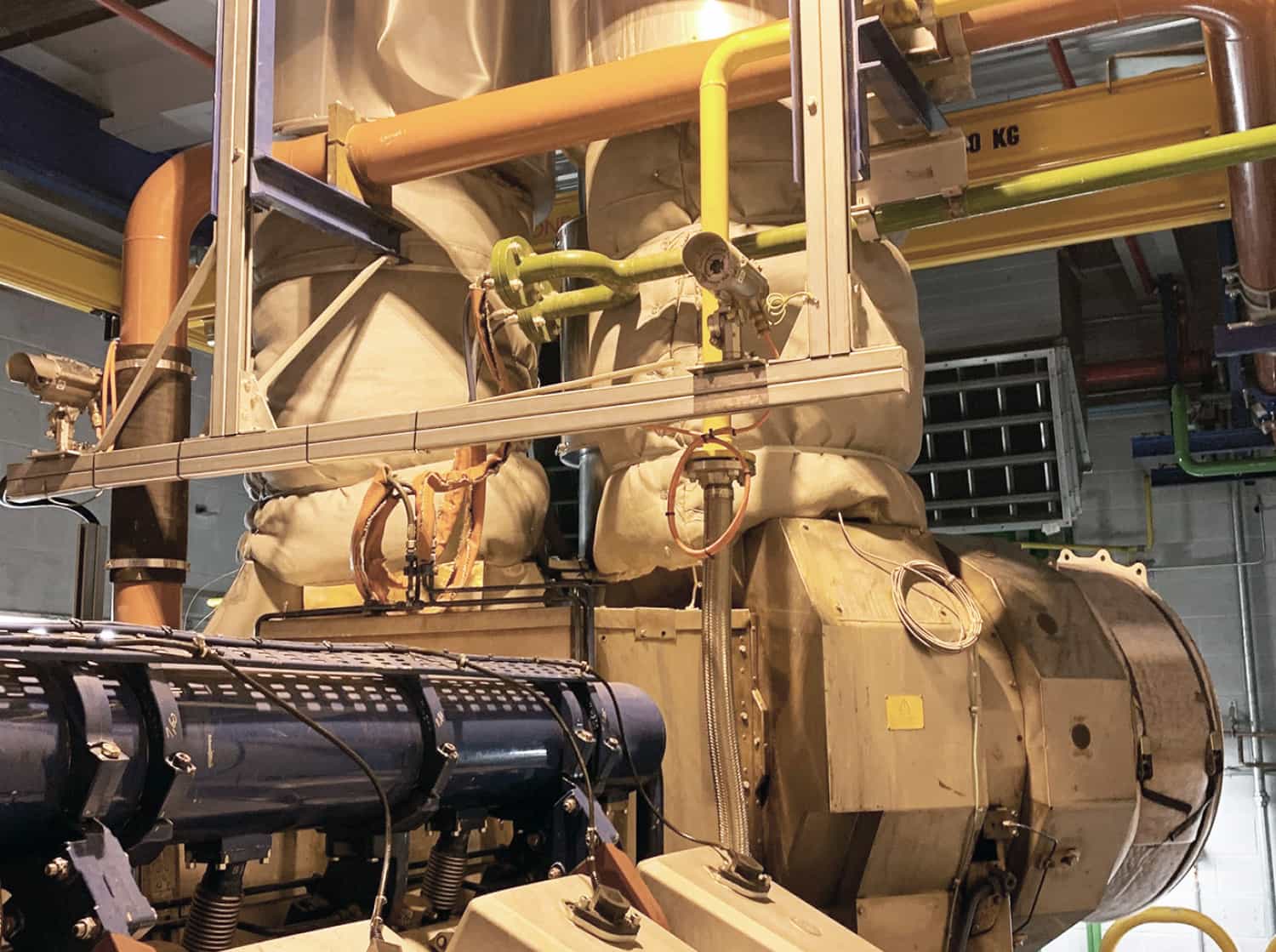 Wide-ranging experience